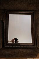 Full view of rectangular mirror with ornate frame
