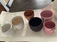 All six planters lined on surface showing variety