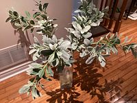 Front view of artificial lamb’s ear plant in glass vase on hardwood floor