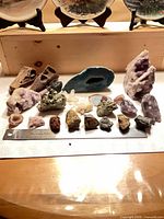 Overall view of all rocks and fossils arranged on paper towel