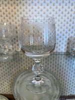 Single etched crystal goblet close-up