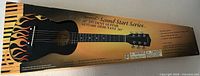 Bursewood Sound Start Series guitar box with flame graphic instrument image