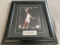 Front view of framed print showing image, matting, frame and nameplate