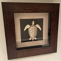 Front view of framed 3D turtle art