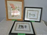 Group shot of all three framed prints