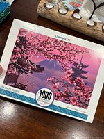 Front of ChengqiSM puzzle box showing image, piece count, size