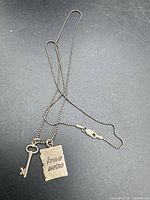 Full view of sterling silver bead chain necklace with charms