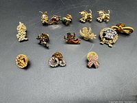 Group shot of all lapel pins