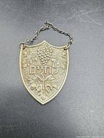 Front view showing Hebrew inscription, grape motif, chain