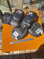All three pairs arranged: boxing gloves, focus pads, MMA gloves
