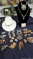 Overview of necklaces on stands and array of brooches and earrings