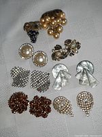 Group shot of six shoe clip pairs and two fur clips