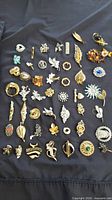Full layout showing roughly 50 mixed brooches