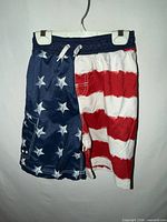 Front view of swim trunks showing American flag design and drawstring waistband