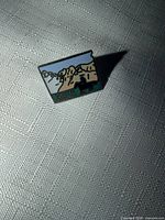 Front view of South Dakota enamel pin showing design details