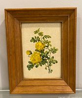 Front view of framed botanical print