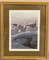 Full view of framed signed print Snow Geese