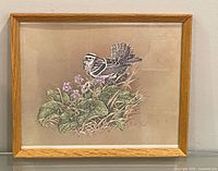 Front view of framed signed Black-and-White Warbler print