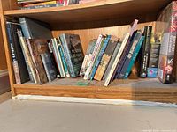 Overview of lower shelf showing mix of hardcovers and paperbacks including Beyond the Outer Shores and vegetarian cookbook