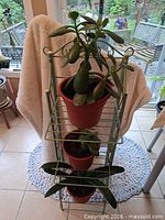 Full view of metal stand with three potted plants