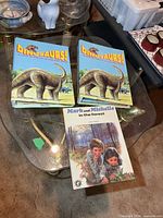 Two Dinosaurs! binders and Mark and Michelle book on glass table