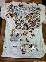 Full view of T-shirt covered with assorted pins and brooches