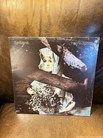 Front cover of Remote Luxury LP