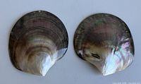 Front view of both iridescent shell dishes