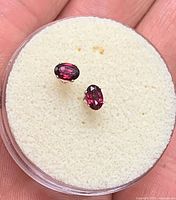 Front view of both garnet stud earrings in foam holder
