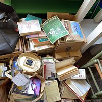 Multiple boxes and bags filled with assorted books and small household items