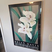 Full view of framed Brian Davis Cymbidium V exhibition poster