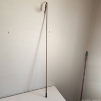 Full view of the riding crop leaning against wall showing overall length and condition