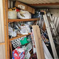 Overall view of shed shelves, ladder, tubs and miscellaneous items