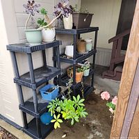 Full view of two black plastic shelving units with multiple potted plants and pots