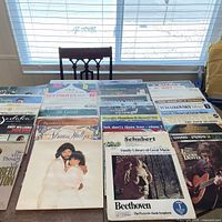 Full view of tabletop spread of approximately 30 LP records