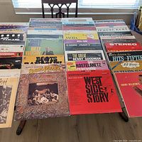 Full table view of all vinyl LP records laid out in rows