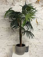Full view of artificial palm in grey planter with three small planters behind