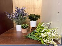 Group of all four artificial plants displayed together