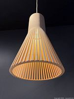 Full view of pendant lamp hanging, showing overall shape and slatted wood construction