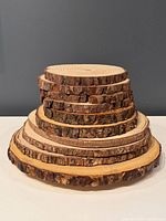 Stack of nine live edge wood rounds showing varying diameters