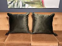 Front view of both velvet pillows side-by-side on sofa