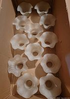 Box containing 12 matching frosted bell shades