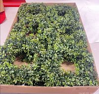 Box containing multiple artificial boxwood wreaths