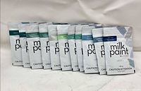 front view of 11 Fusion milk paint powder packs standing in row
