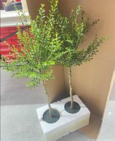Pair of artificial topiary trees in shipping insert