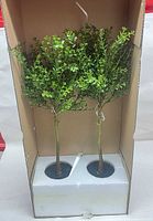 Pair of boxed artificial boxwood topiary trees in packaging