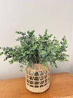 Full view of artificial plant and rope-covered glass vase