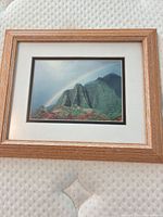 Front view showing image, matting and oak-tone frame