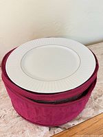 Stack of dinner plates in quilted storage bag