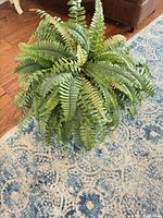Top view of full artificial fern showing foliage volume